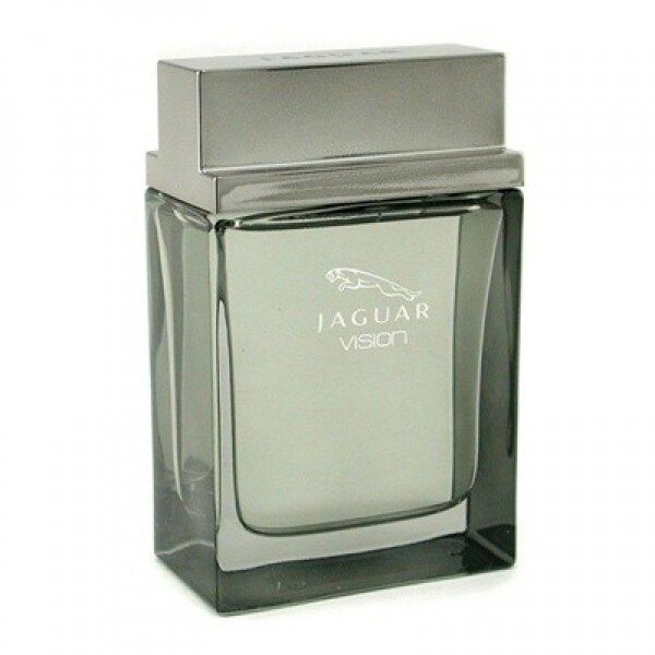 Jaguar Vision EDT 100 ml Erkek Parfümü