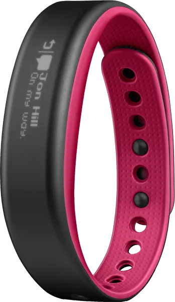 Garmin vivosmart Akıllı Saat