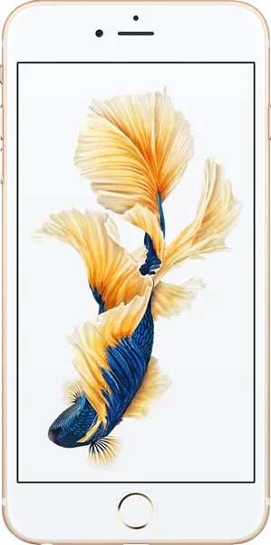 Apple iPhone 6s Plus 128 GB (MKUE2TU/A, MKUG2TU/A, MKUF2TU/A, MKUD2TU/A) Cep Telefonu