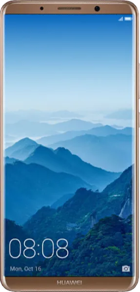 Huawei Mate 10 Pro Tek Hat / 128 GB (BLA-L09) Cep Telefonu