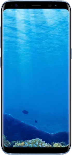Samsung Galaxy S8 (SM-G950F) Cep Telefonu