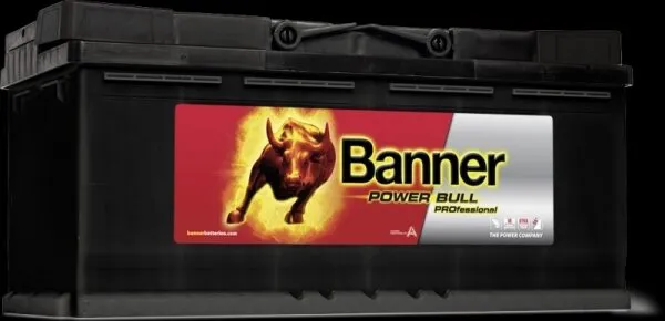 Banner Power Bull Professional 12V 100Ah Akü
