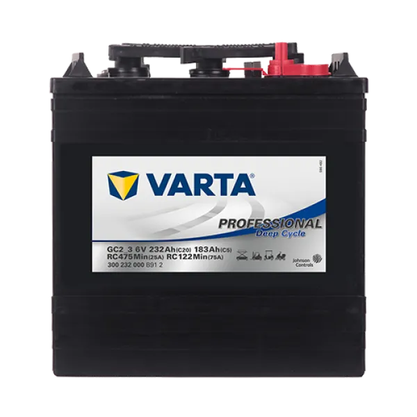 Varta Professional Deep Cycle 6V 232Ah Akü