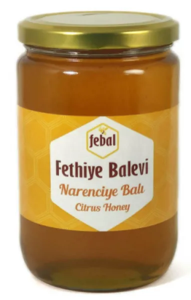 Fethiye Balevi Narenciye Balı 460 gr Bal