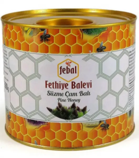 Fethiye Balevi Süzme Çam Balı 2.85 kg Bal