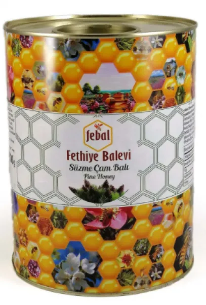 Fethiye Balevi Süzme Çam Balı 4.8 kg Bal