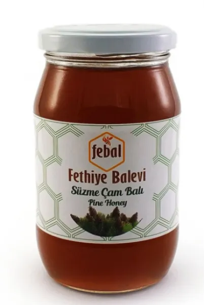 Fethiye Balevi Süzme Çam Balı 460 gr Bal