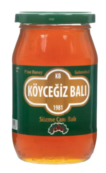 Köyceğiz Balı Çam Balı 450 gr Bal