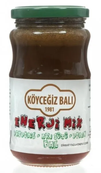 Köyceğiz Balı Enerji Mix 450 Gr Bal