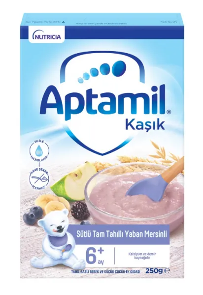 Aptamil Sütlü Tam Tahıllı Yaban Mersinli Kaşık Maması 250 gr Kaşık Mama