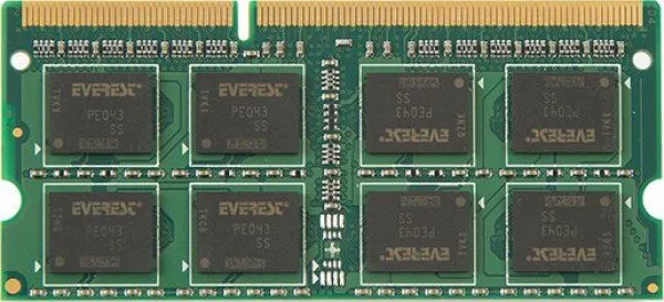 Everest RM-S81 8 GB 1600 MHz DDR3 Ram