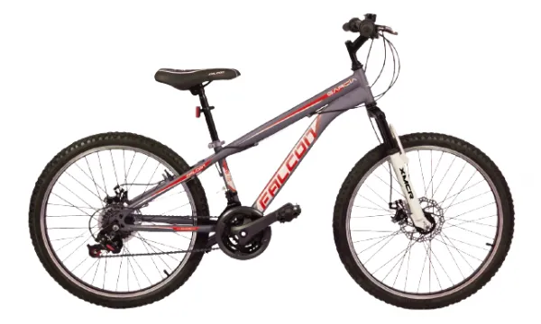 Falcon Garcia DF24 Bisiklet