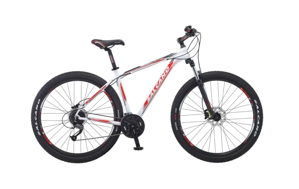 Salcano NG400 29 HD Bisiklet