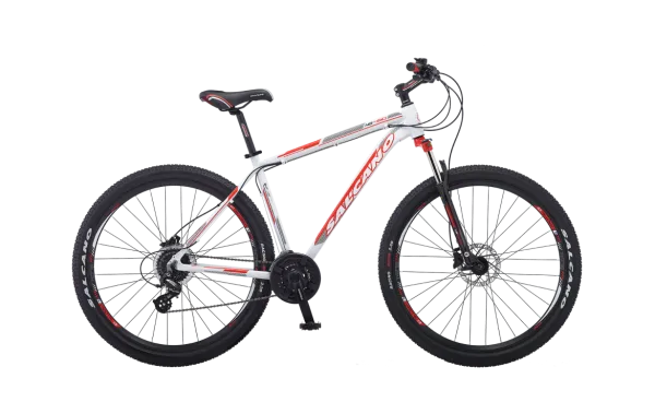 Salcano NG450 29 HD Bisiklet