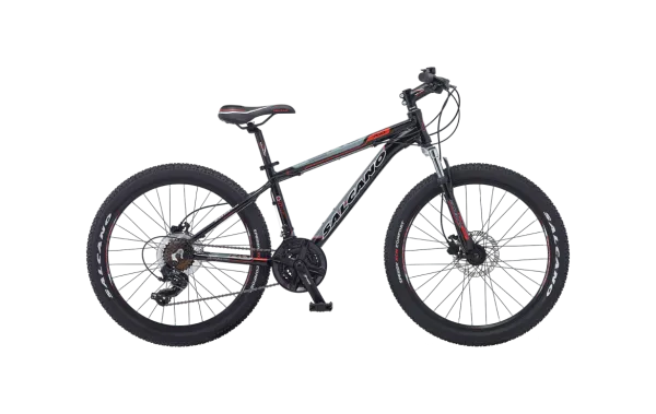 Salcano NG750 24 HD Bisiklet