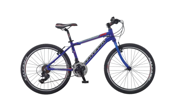 Salcano NG850 24 Man Bisiklet