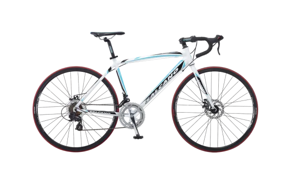 Salcano XRS060 Disc Bisiklet