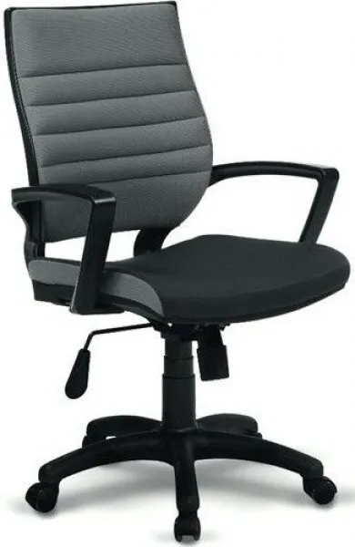 Asbir Rigel 55100 Çalışma Koltuğu