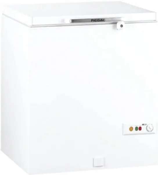 Regal RGL 200 Derin Dondurucu
