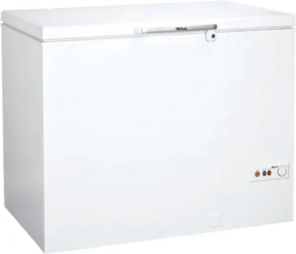 Regal RGL 300 Derin Dondurucu