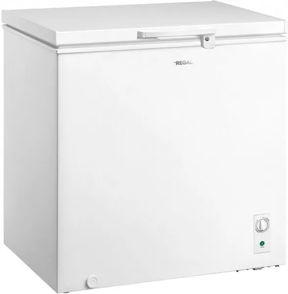 Regal SD Dual 2011 M Derin Dondurucu