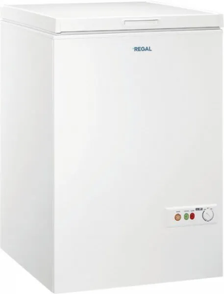 Regal SDR 100 Derin Dondurucu