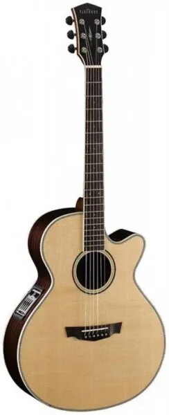 Parkwood PW-570 Elektro Akustik Gitar