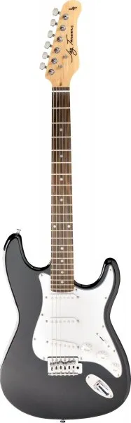 Jay Turser JT-300M Elektro Gitar