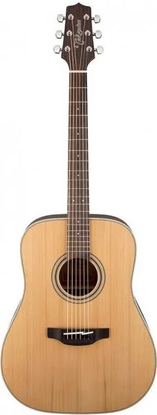 Takamine GD20 (GD20-NS) Akustik Gitar