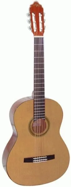 Valencia CG30R Klasik Gitar