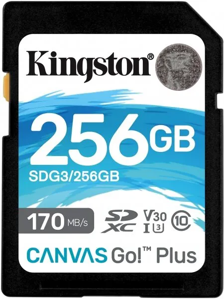 Kingston Canvas Go! Plus 256 GB (SDG3/256GB) SD