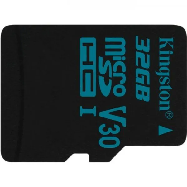 Kingston Canvas Go! 32 GB (SDCG2/32GB) microSD