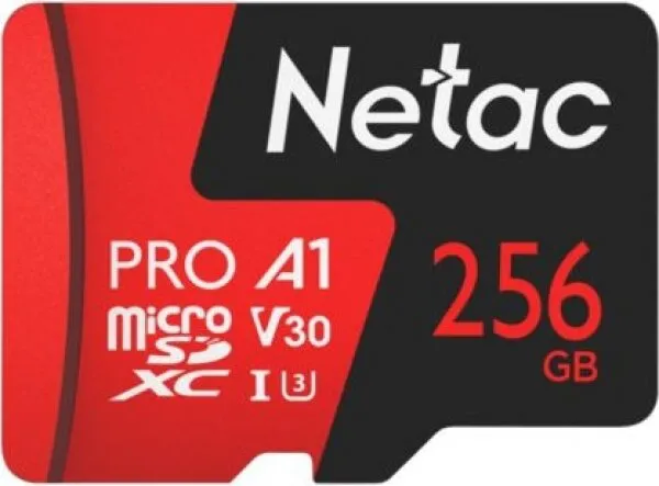 Netac P500 Extreme Pro 256 GB (NT02P500PRO-256G-R) microSD