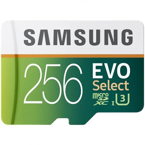 Samsung Evo Select 256 GB microSD