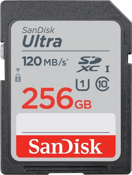 Sandisk Ultra 256 GB (SDSDUN4-256G-GN6IN) SD