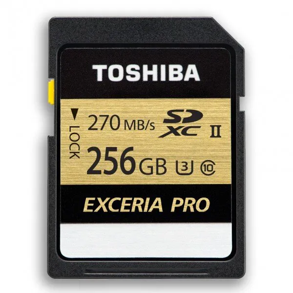 Toshiba Exceria Pro N501 256 GB (THN-N501G2560E6) SD