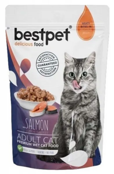 Bestpet Adult Jelly Pouch Somonlu 85 gr Somon Kedi Maması