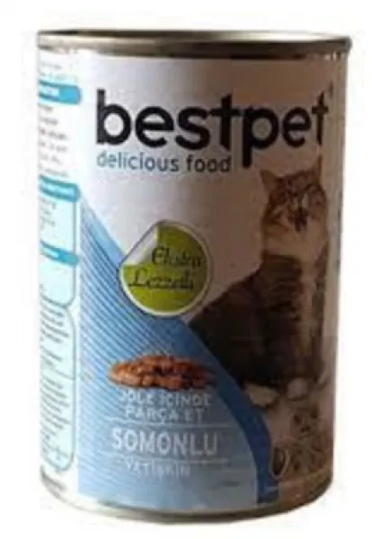 Bestpet Soslu Somon Balıklı 400 gr Kedi Maması