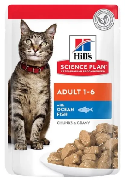 Hill's Adult Kuzu Etli Yetişkin 300 gr Kedi Maması