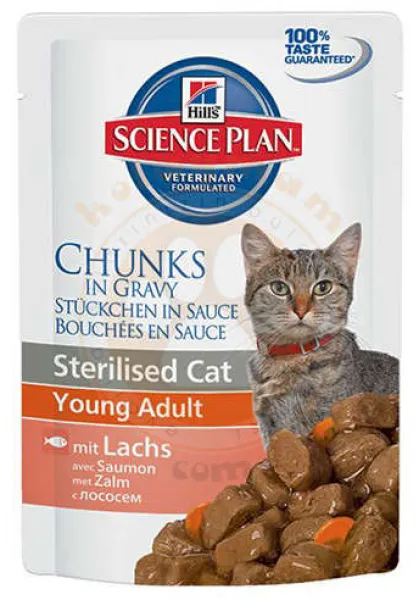 Hill's Chunks In Gravy Somonlu Kısırlaştırılmış 85 gr Kedi Maması