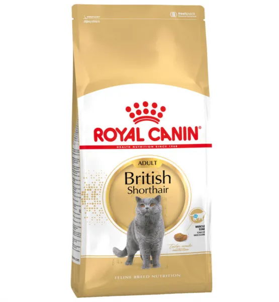 Royal Canin British Shorthair Adult 10 kg Kedi Maması