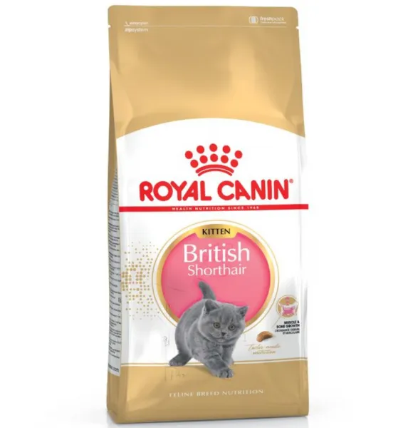 Royal Canin British Shorthair Kitten 2 kg Kedi Maması