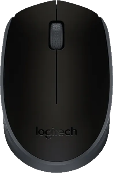 Logitech M171 (910-004424) Mouse