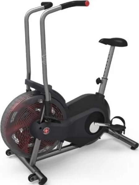 Schwinn Airdyne AD2i Kondisyon Bisikleti
