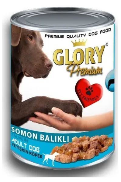 Glory Premium Somon Balıklı Yetişkin 415 gr Köpek Maması