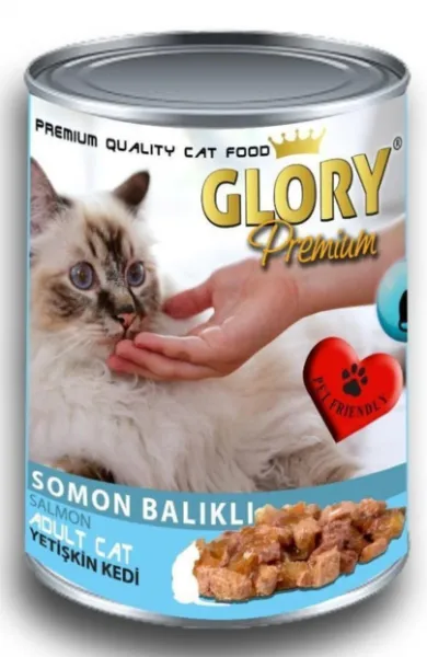 Glory Somon Balıklı Yetişkin 400 gr Köpek Maması