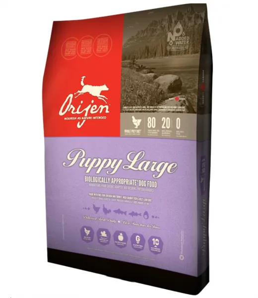 Orijen Puppy Large Tahılsız 11.4 kg Köpek Maması