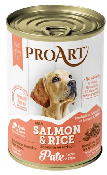 Proart Somonlu ve Pirinçli Ezme Yetişkin 400 gr Köpek Maması