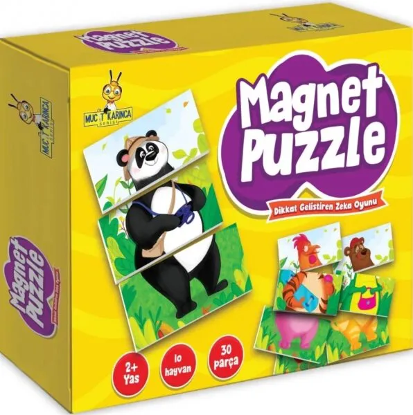 Magnet Puzzle Kutu Oyunu