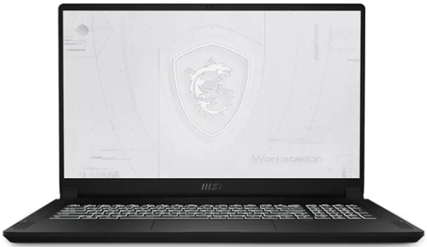 MSI WS76 11UM-615TR Notebook